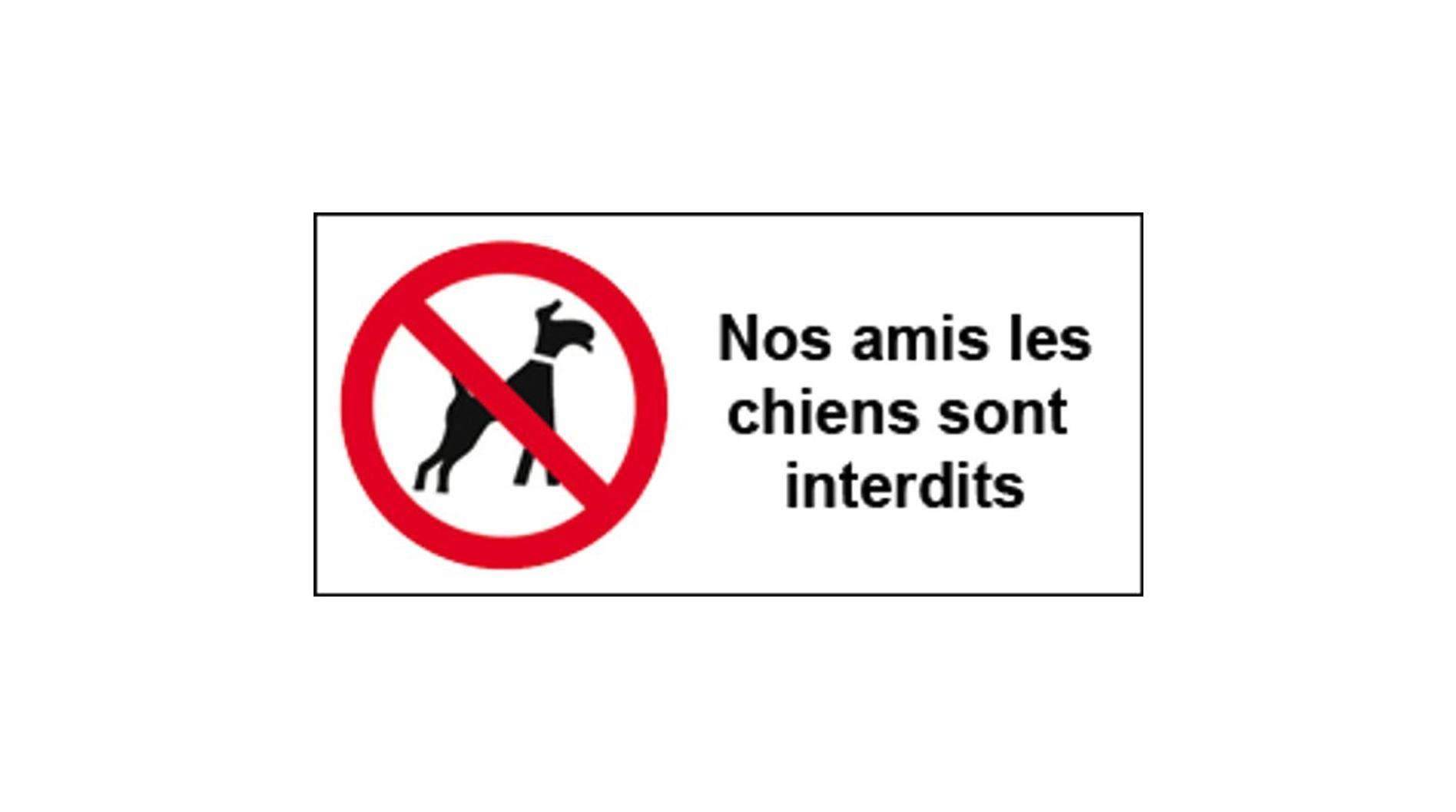 Studio Lumineux Et Plein De Charme Blois Eksteriør billede